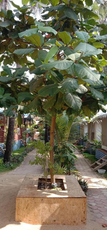 Resort Dreams Of Palolem Beach Huts Goa *