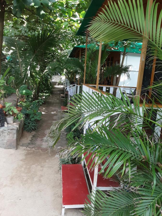 Dreams Of Palolem Beach Huts Goa *