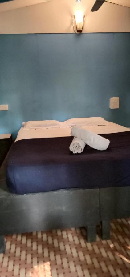 Resort Dreams Of Palolem Beach Huts Goa Canacona