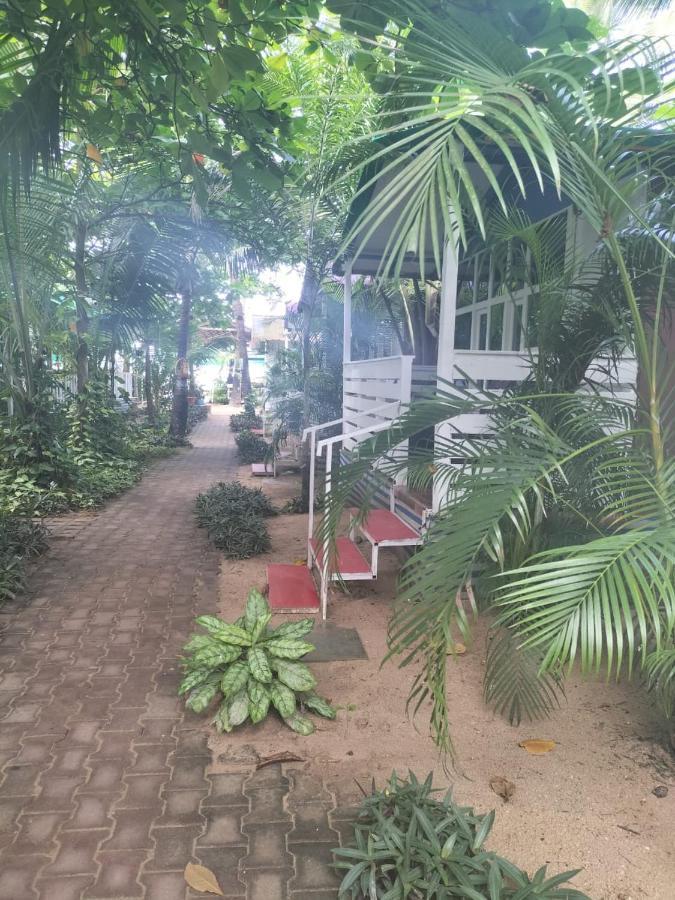 Dreams Of Palolem Beach Huts Goa